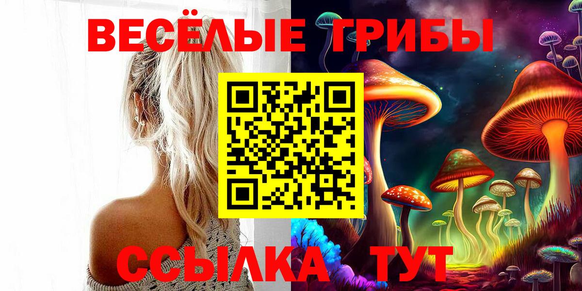Псилоцибиновые грибы GOLDEN TEACHER  Галлюциногенные грибы Psilocybine cubensis  Каменск-Уральский  Вход с VPN 