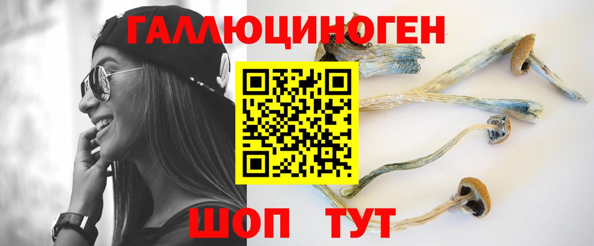 Галлюциногенные грибы GOLDEN TEACHER Каменск-Уральский